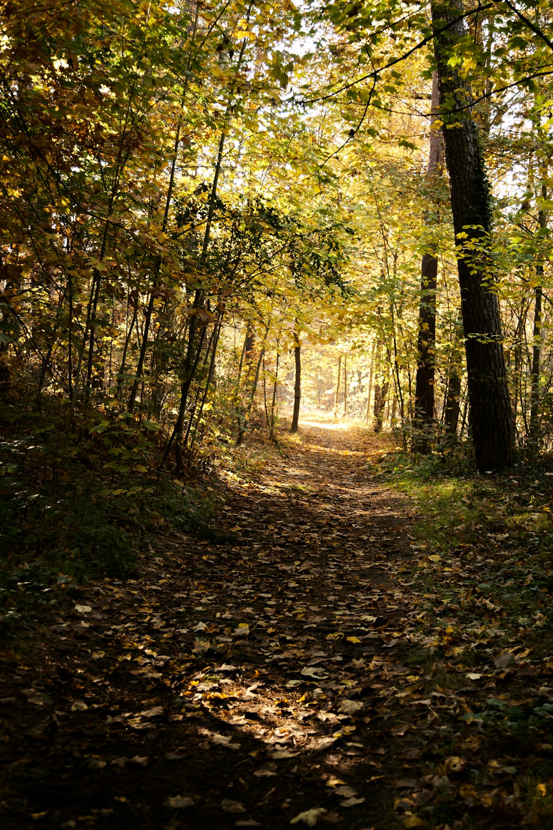 Quick land sale Indiana for cash