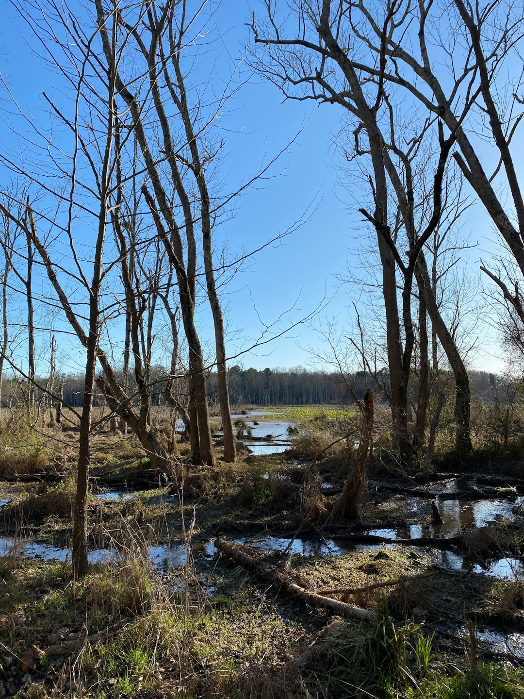 Sell Indiana land for cash