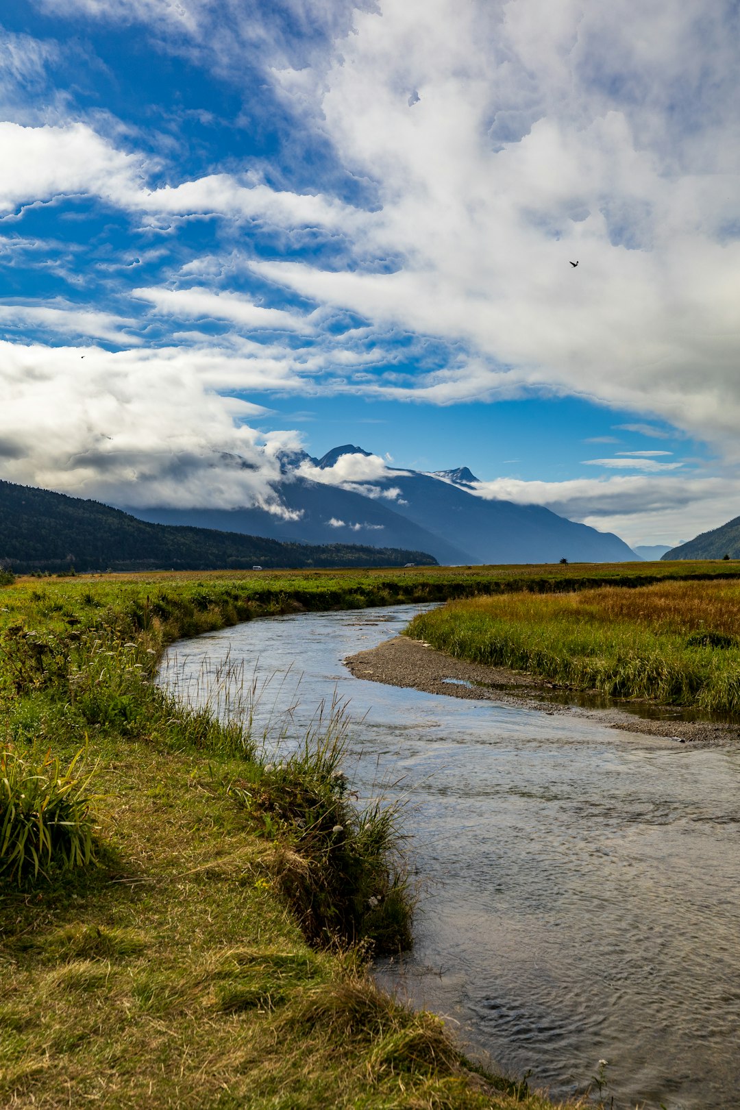 Sell Washington acreage for cash