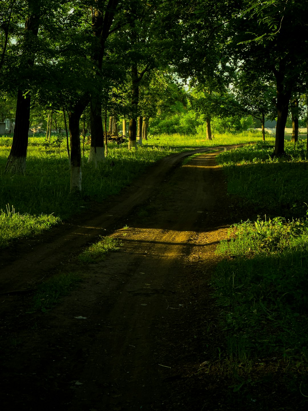 Cash out Indiana acreage