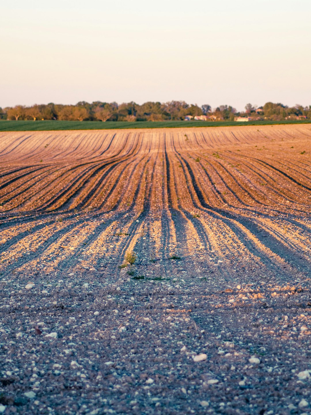 Cash land sale Indiana