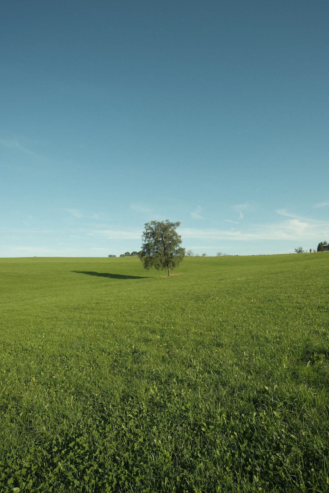 Cash out Washington farmland