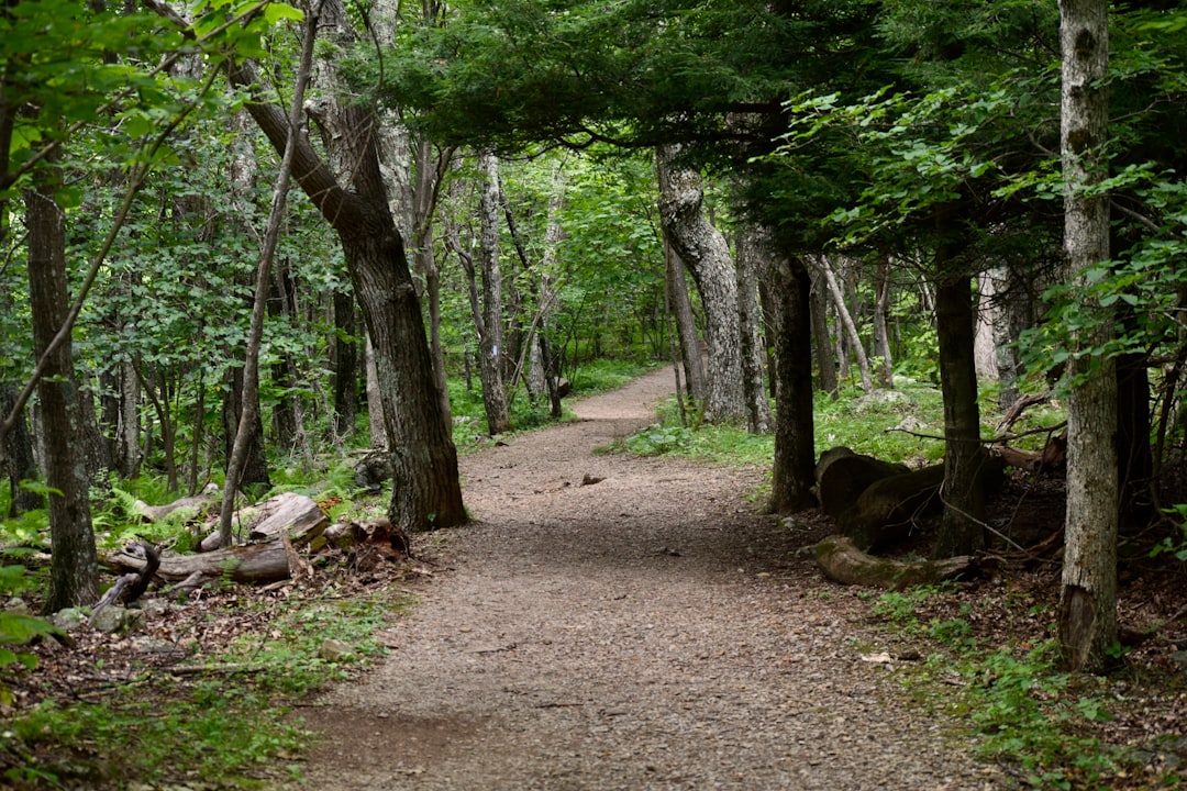 Sell land in Maine