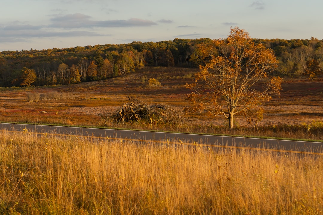 How to sell land in North Carolina for cash