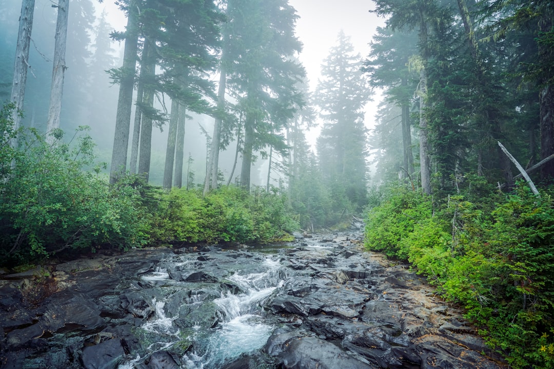 Maine land buyer