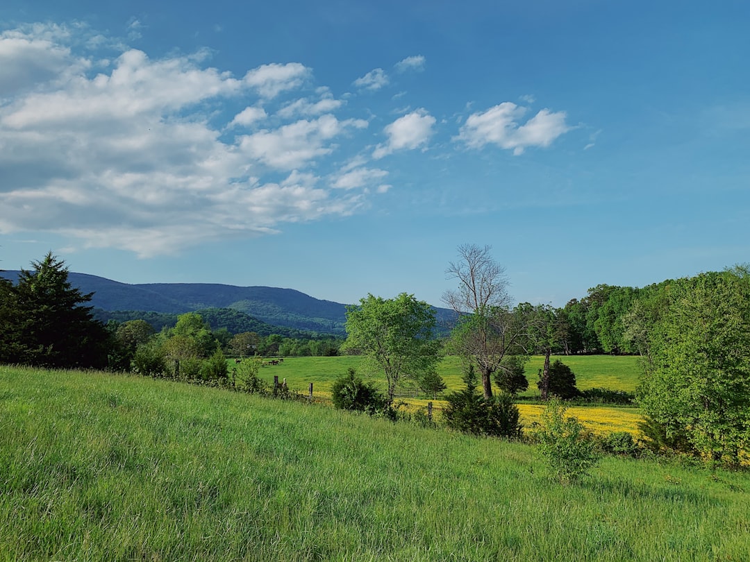 Maryland land buyer