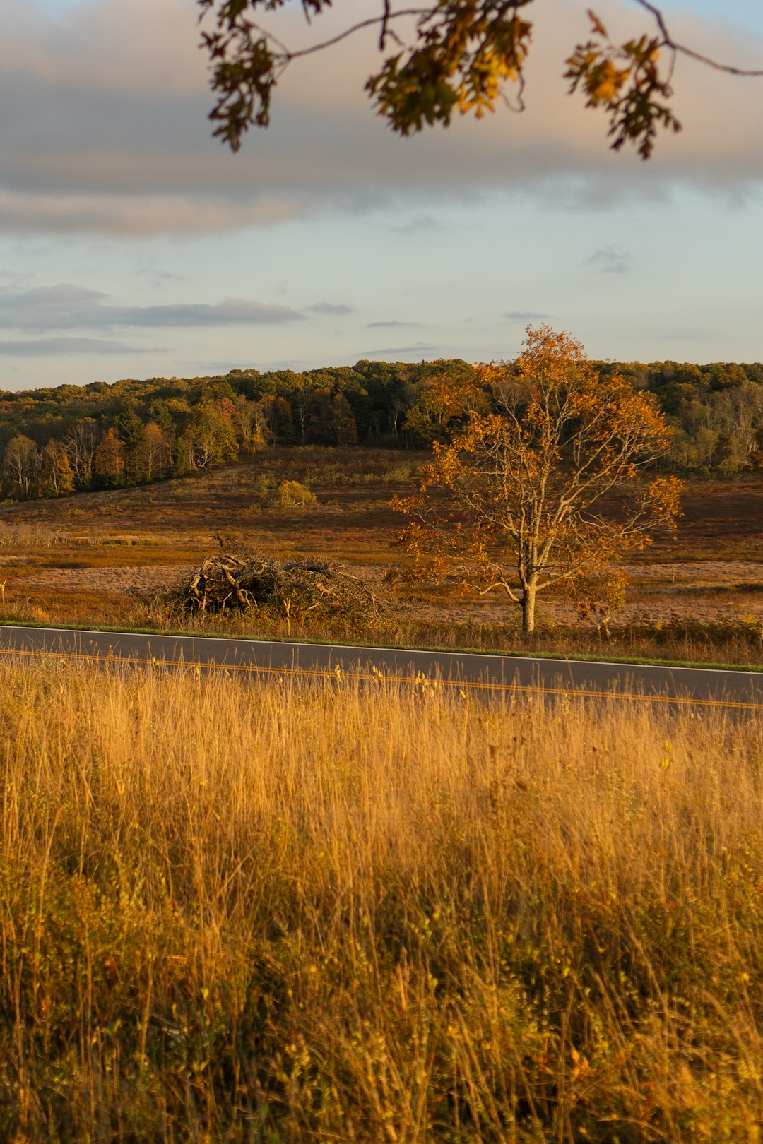 Virginia land investors