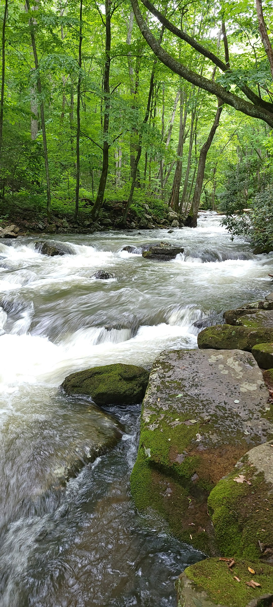 Cash in on Virginia land sale