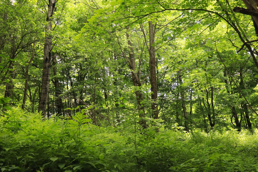 Sell land in Vermont