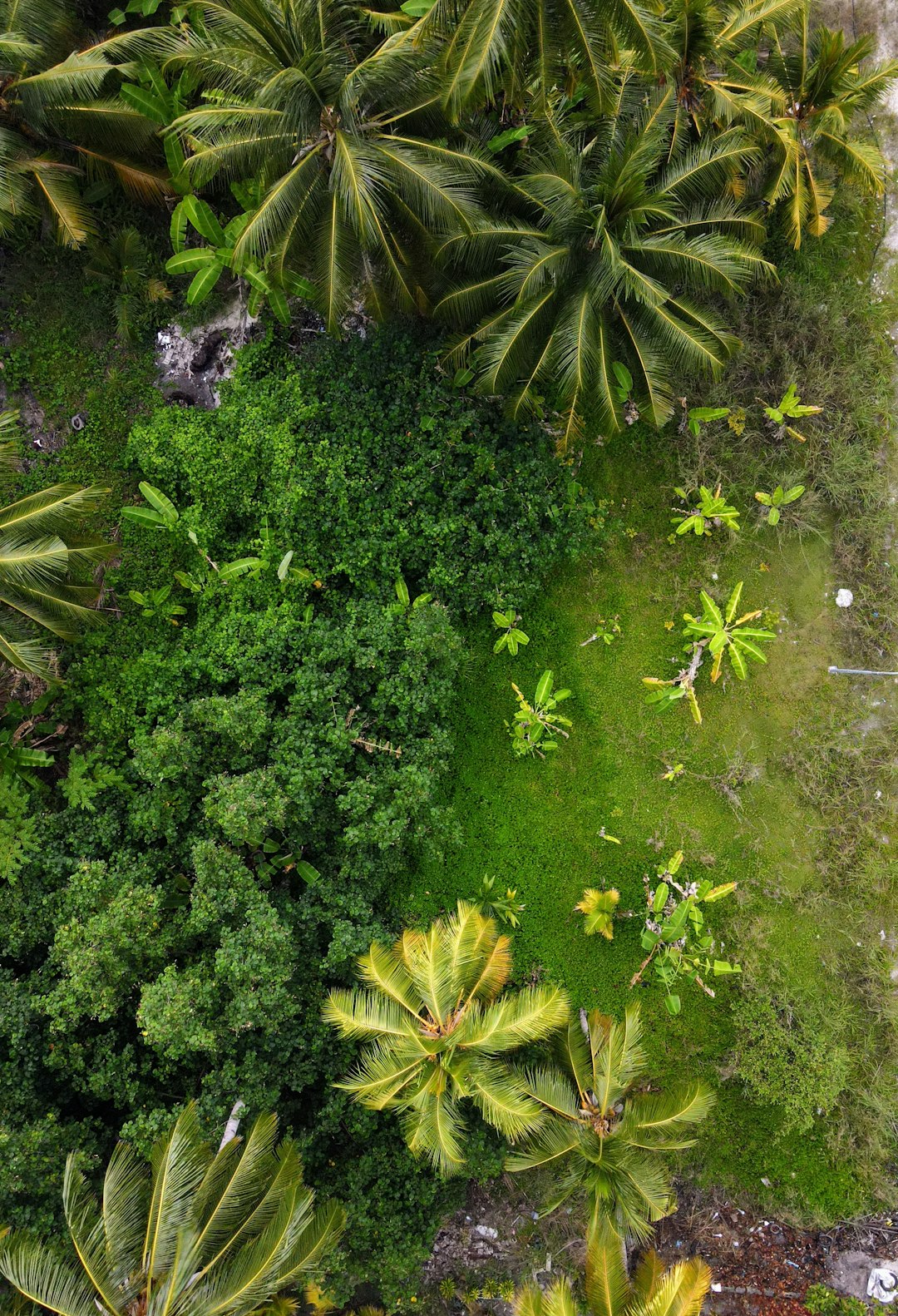 Examining the Land Before You Get