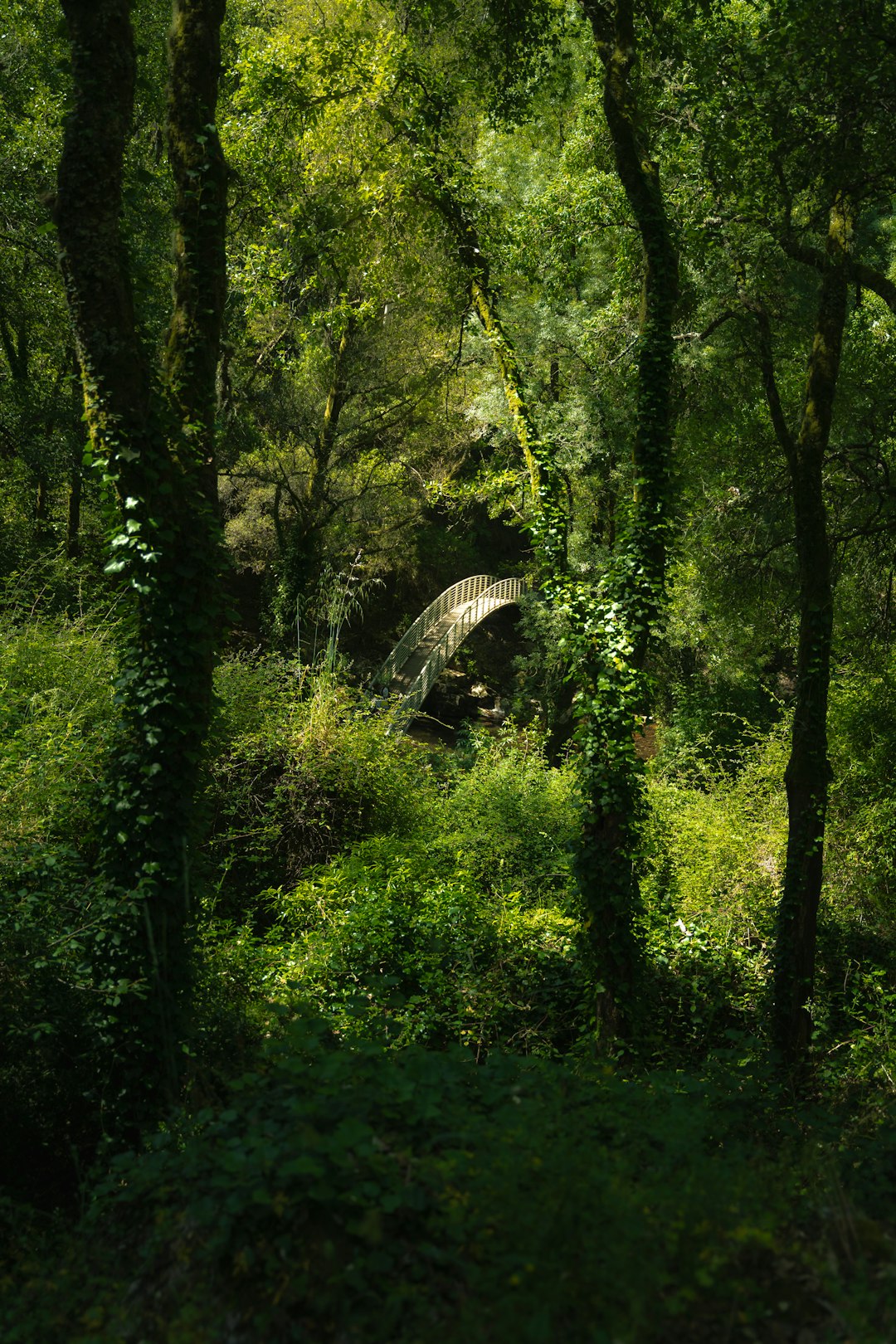 Examining the Land Before You Acquire