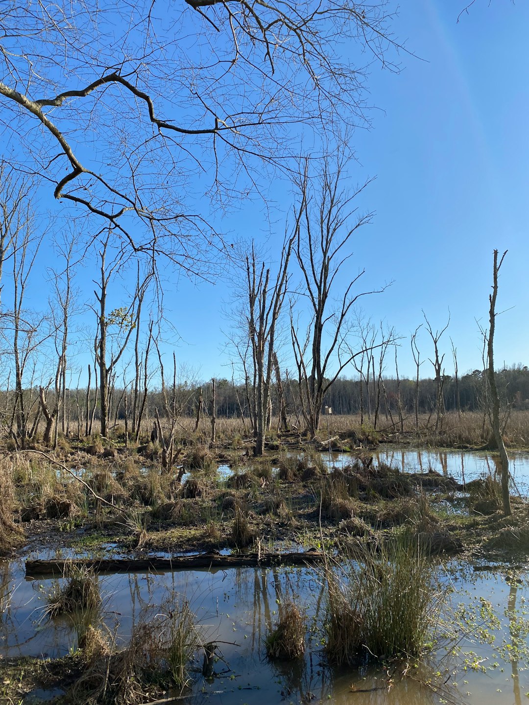 Examining the Land Before You Buy