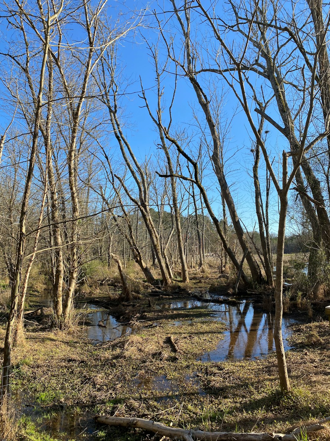 Examining the Land Before You Buy