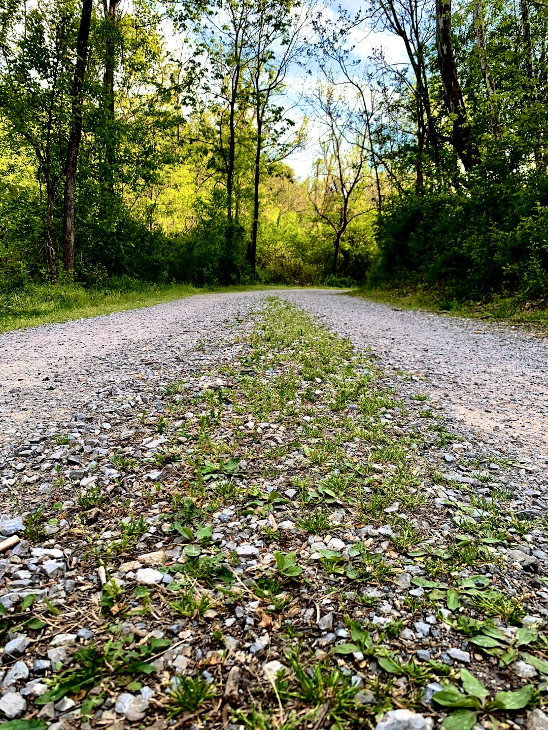 Location: Assessing Land Worth