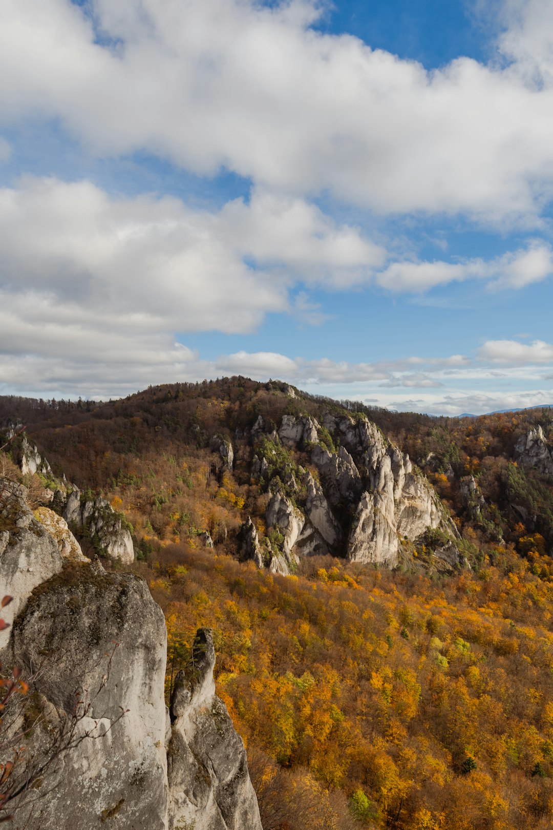 Recognizing the Value of Your Land