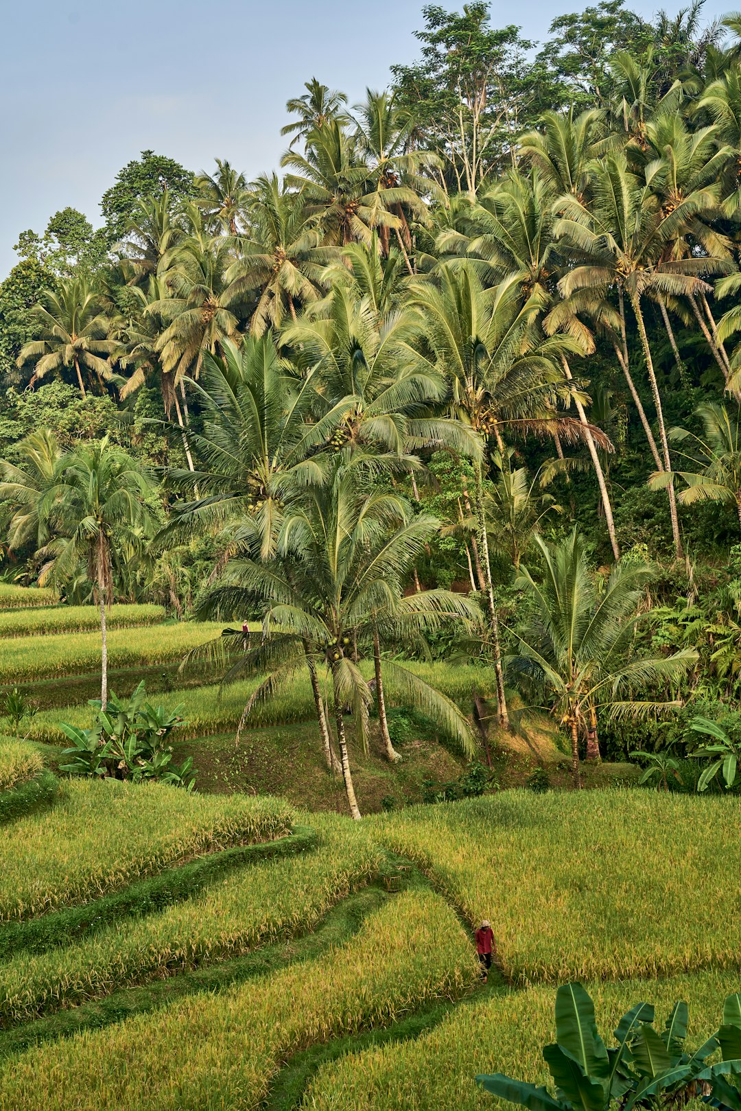 Recognizing the Worth of Your Land