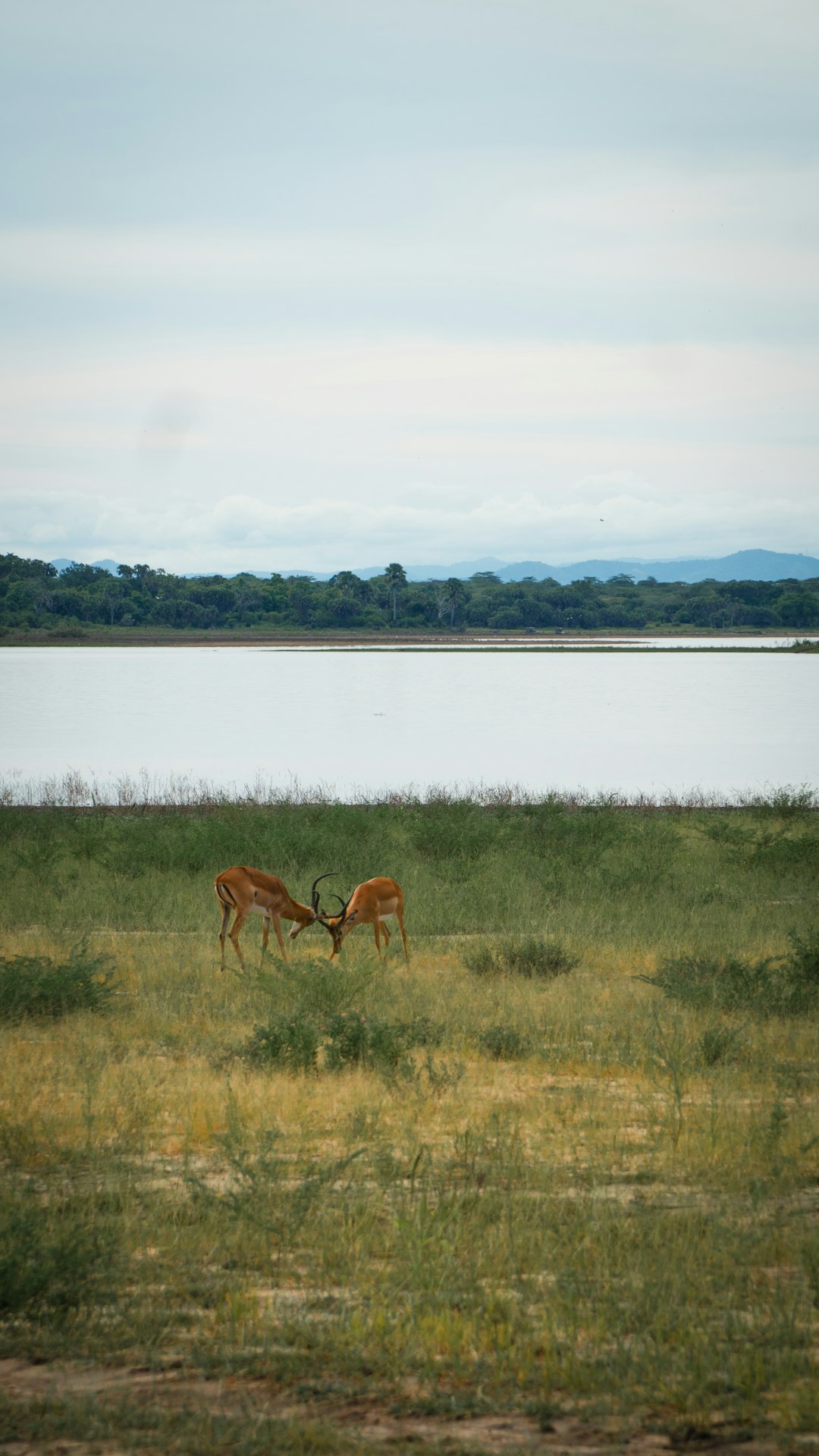 Understanding the Worth of Your Land