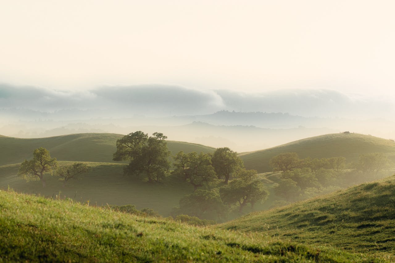 Sell farmland for cash