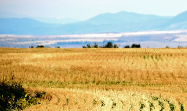 Selling agricultural land in Idaho