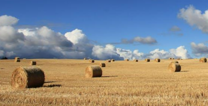 Quick cash for Idaho land