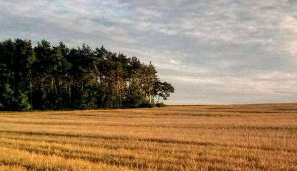 Connecticut land for hunting