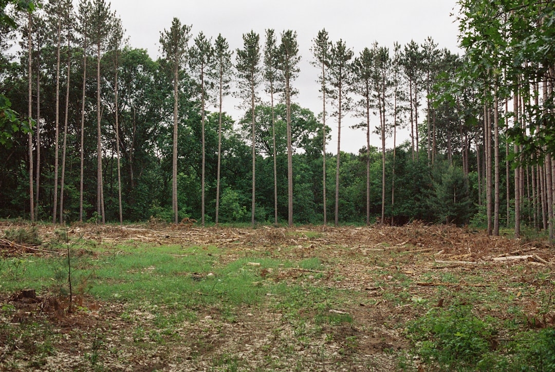 South Carolina farmland cash buyers